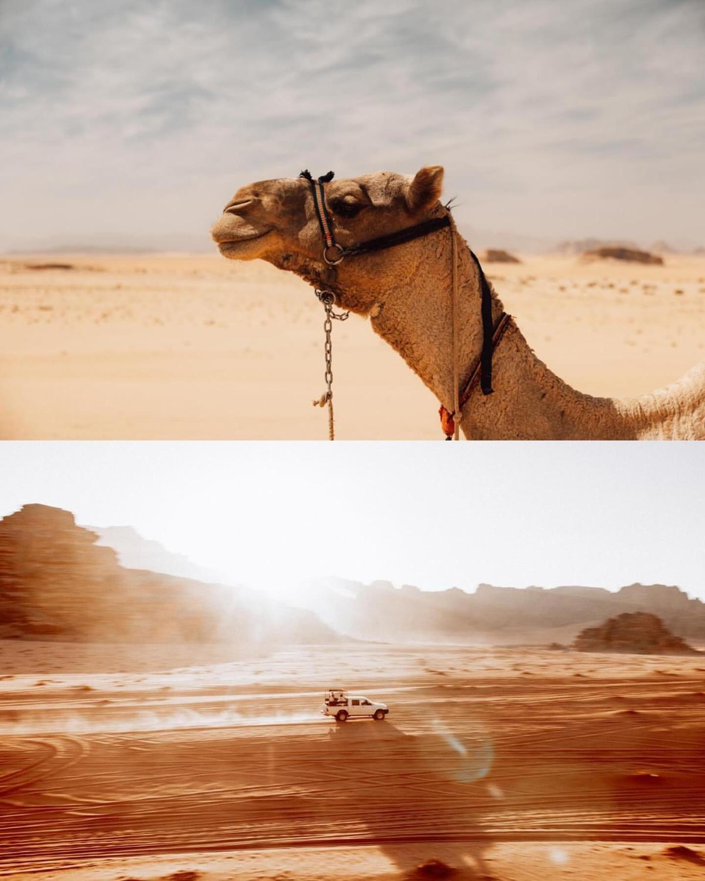 Rum Luxury Camp Wadi Rum Esterno foto